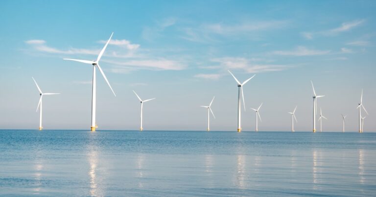 De 20 mest grønne virksomheder i verden i 2022 - en vindmøllefarm på havet