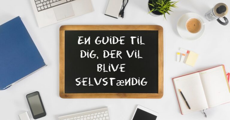 selvstændig en guide til dig der vil blive selvstændig